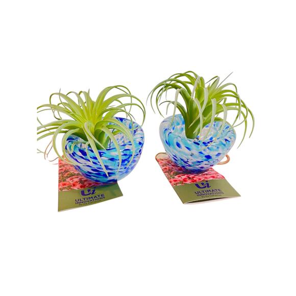 The Ultimate Innovations Jellyfish Colored Glass Air Plant Hanging Globe 2 - Picture 2 of 8